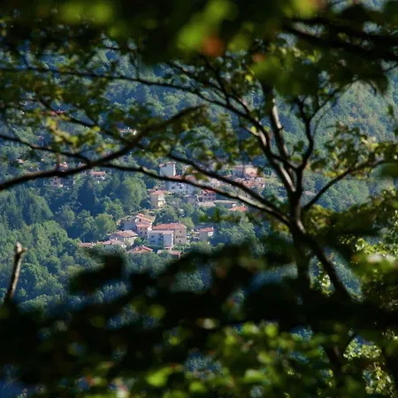 La Casa Sul Fiume *